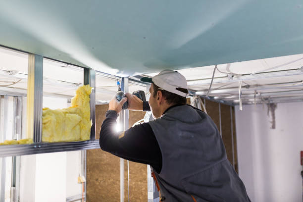 Best Geographic-Specific Insulation Services in Kalifornsky, AK