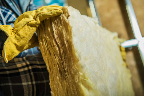 Best Spray Foam Insulation in Kalifornsky, AK