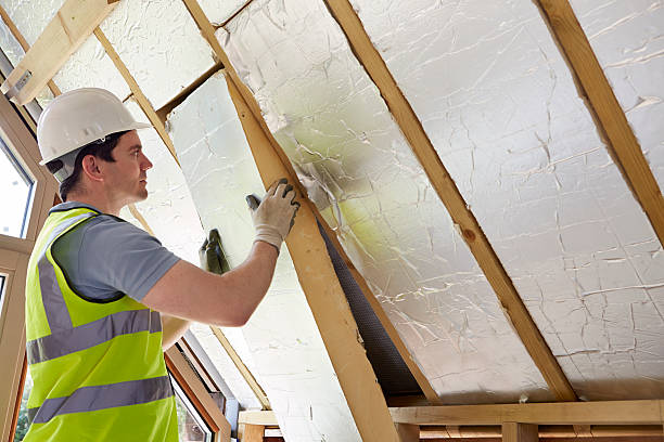 Best Blown-in Insulation in Kalifornsky, AK